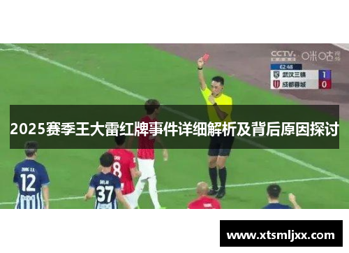2025赛季王大雷红牌事件详细解析及背后原因探讨
