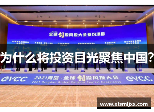 为什么将投资目光聚焦中国？