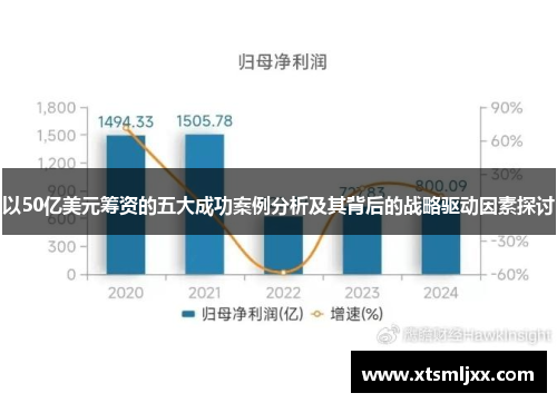 以50亿美元筹资的五大成功案例分析及其背后的战略驱动因素探讨