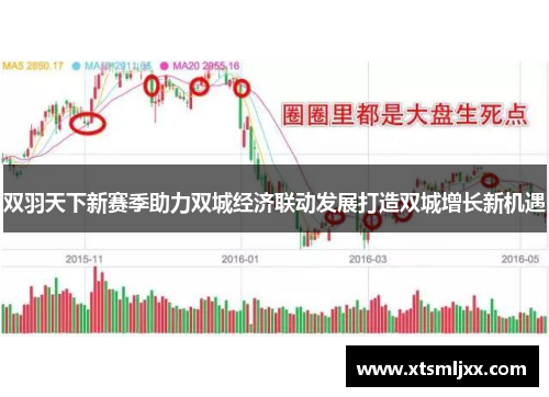 双羽天下新赛季助力双城经济联动发展打造双城增长新机遇