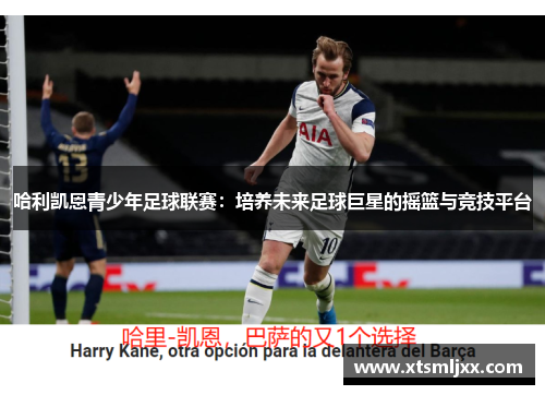 哈利凯恩青少年足球联赛：培养未来足球巨星的摇篮与竞技平台