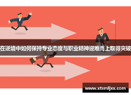 在逆境中如何保持专业态度与职业精神迎难而上取得突破